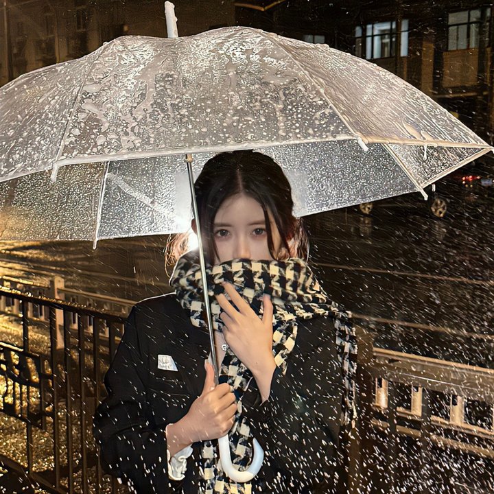 孤独的美食家 第五季