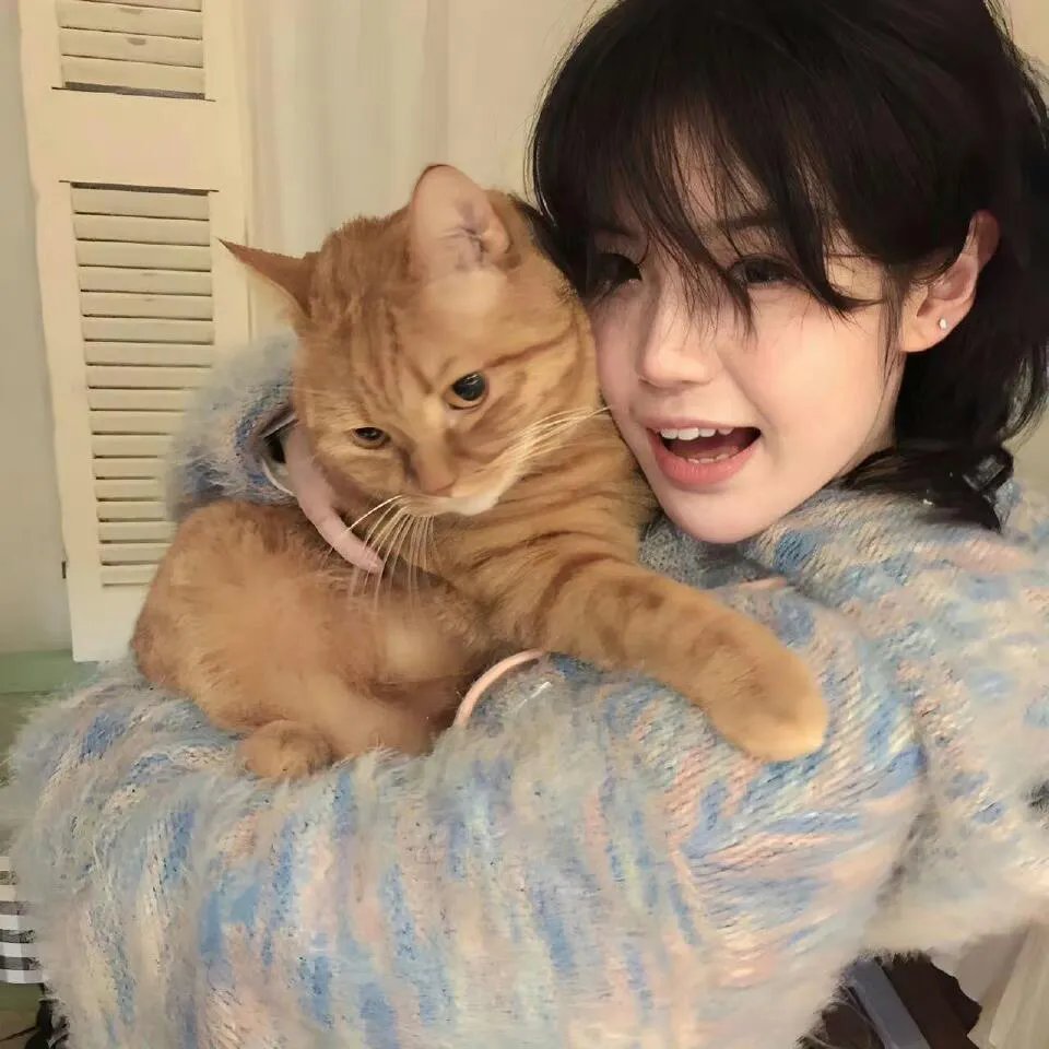 发错表白情话闪婚女总裁